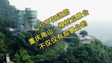 南山一棵树门票怎么买票?南山一棵树 要收费吗-图3 南山一棵树门票怎么买票?南山一棵树 要收费吗-图3