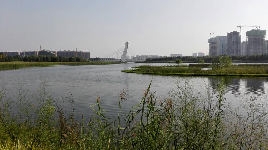 龙子湖风景区要门票吗?郑州龙子湖公园收费吗-图3 龙子湖风景区要门票吗?郑州龙子湖公园收费吗-图3