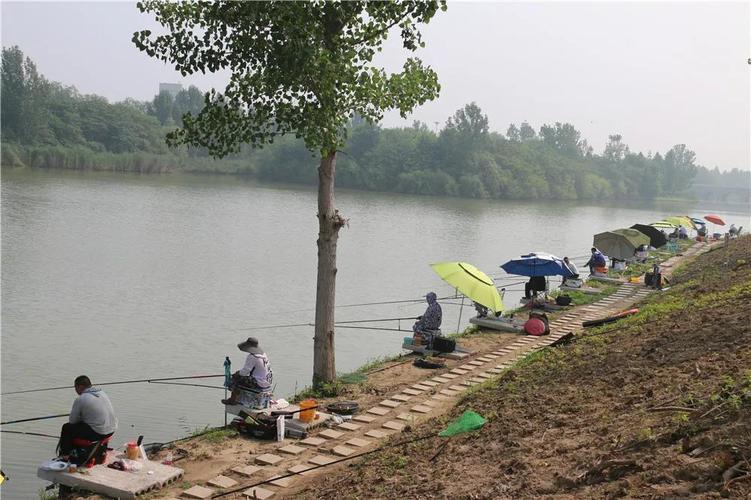 太白湖钓鱼怎么收费？2017济宁小北湖收费吗