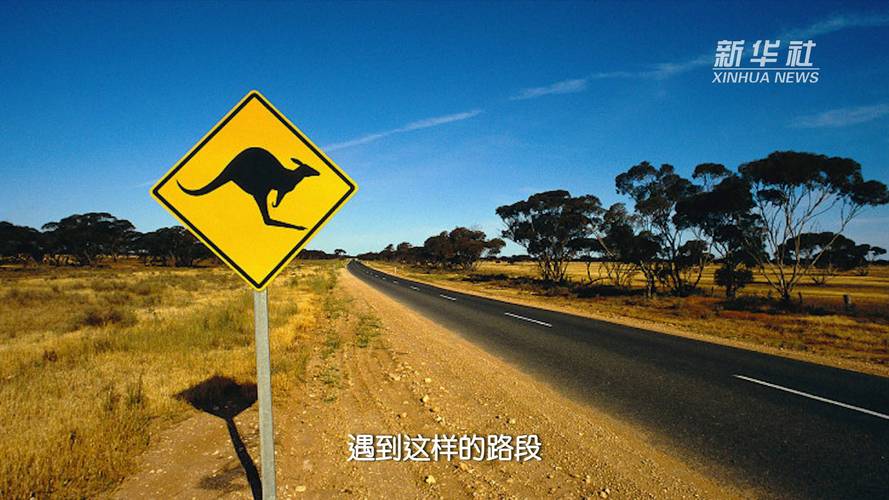 澳大利亚自驾游需要什么手续,好办吗?澳大利亚自驾收费吗-图3 澳大利亚自驾游需要什么手续,好办吗?澳大利亚自驾收费吗-图3
