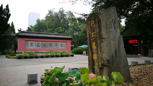 包园什么意思?包公园为什么收费-图3 包园什么意思?包公园为什么收费-图3