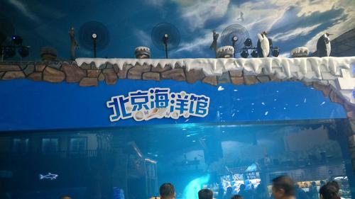北京海洋馆停车场哪里便宜点?北京海洋馆 另外收费-图3 北京海洋馆停车场哪里便宜点?北京海洋馆 另外收费-图3