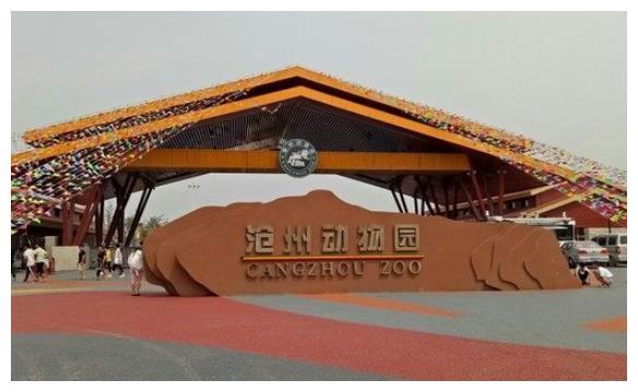 沧州动物园欢乐世界营业时间?沧州南湖公园收费吗-图2 沧州动物园欢乐世界营业时间?沧州南湖公园收费吗-图2