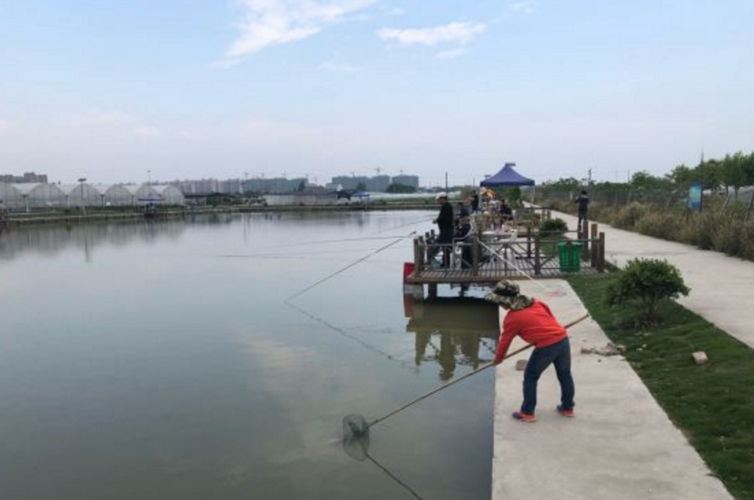 上海周边2小时左右车程的农家乐,环境要好点的。附近可以钓鱼的。包吃包住150左右每人每天?朝天区陈家乡收费钓鱼-图3 上海周边2小时左右车程的农家乐,环境要好点的。附近可以钓鱼的。包吃包住150左右每人每天?朝天区陈家乡收费钓鱼-图3