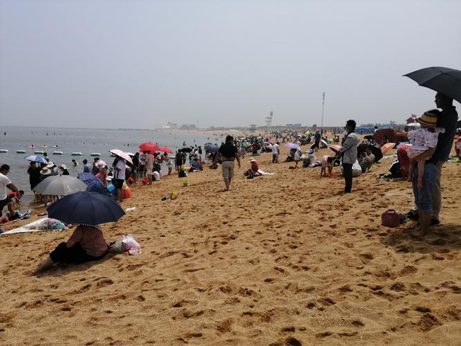 潍坊欢乐海沙滩景区停车费怎么收?城市沙滩停车收费吗-图1 潍坊欢乐海沙滩景区停车费怎么收?城市沙滩停车收费吗-图1