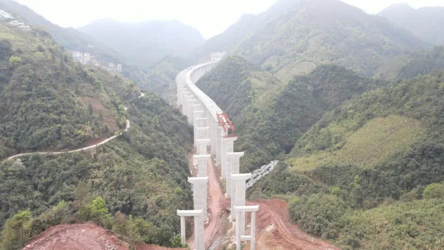 刺窟窿是什么植物？刺洞大桥高速收费路口-图3