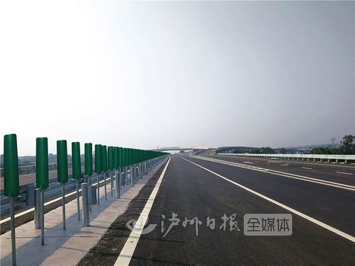 刺窟窿是什么植物？刺洞大桥高速收费路口-图2