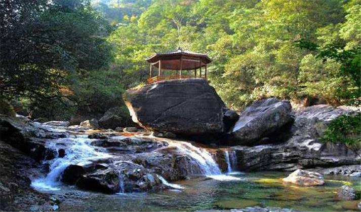 大安源景区门票？大安森林公园收费嘛