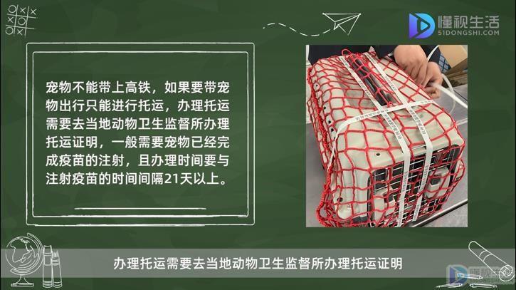 高铁宠物托运流程?高铁宠物怎么收费-图3 高铁宠物托运流程?高铁宠物怎么收费-图3
