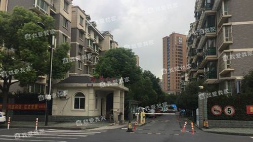 杭州政苑小区为什么这么贵？杭州政苑游泳馆收费-图3
