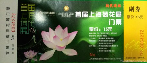 丰乐荷花要门票吗？合肥水中悦会所收费