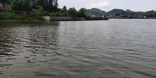 红枫湖钓鱼钓点？红枫湖钓鱼收费吗