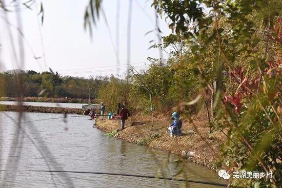 昆山湿地公园收费标准?花桥收费鱼塘-图2 昆山湿地公园收费标准?花桥收费鱼塘-图2