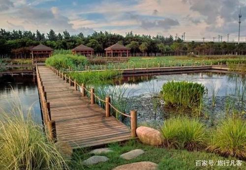 昆山湿地公园收费标准？花桥鱼塘收费