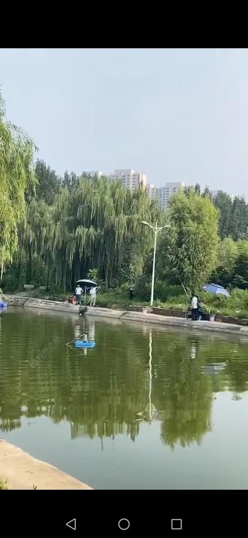 济南周边哪有免费的钓鱼地点,比如乡镇啊之类的都行?济南周边水库钓鱼收费-图3 济南周边哪有免费的钓鱼地点,比如乡镇啊之类的都行?济南周边水库钓鱼收费-图3
