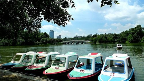 江门东湖公园哪里可以骑单车?江门东湖公园收费吗-图2 江门东湖公园哪里可以骑单车?江门东湖公园收费吗-图2