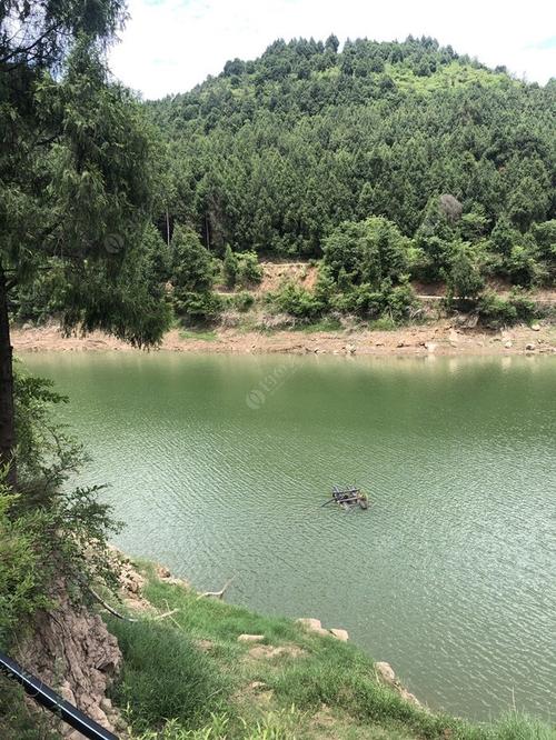 百龙潭旅游景区可以钓鱼吗？老虎潭水库钓鱼收费吗