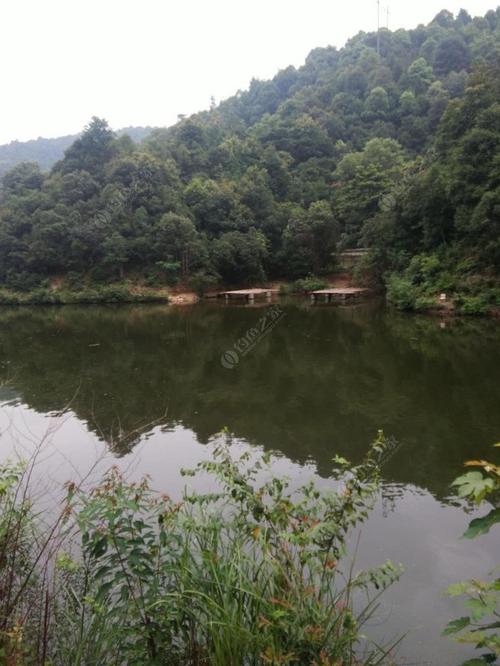 百龙潭旅游景区可以钓鱼吗?老虎潭水库钓鱼收费吗-图2 百龙潭旅游景区可以钓鱼吗?老虎潭水库钓鱼收费吗-图2