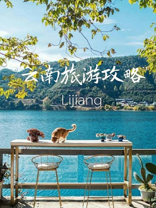 束河古镇可以开车进去吗?丽江小白单车怎么收费-图3 束河古镇可以开车进去吗?丽江小白单车怎么收费-图3
