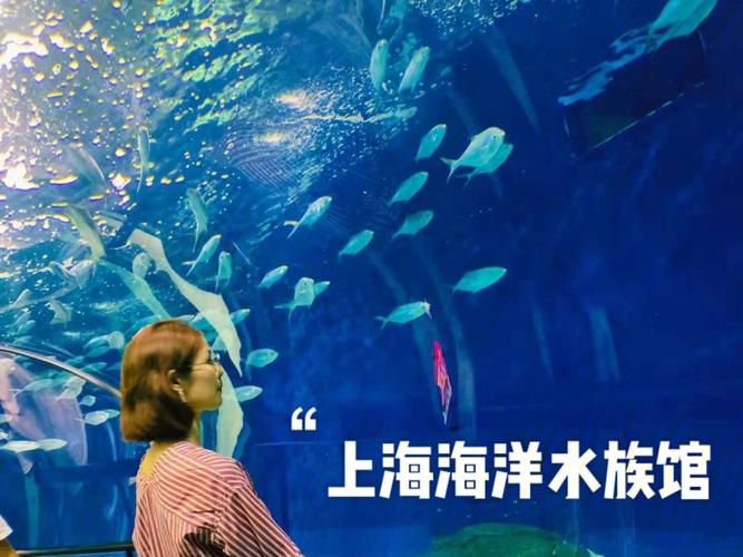 上海海洋水族馆门票是多少，可以玩多久？上海海洋水族馆停车怎么收费