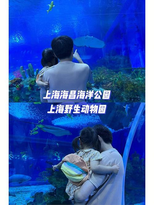 上海海洋水族馆门票是多少，可以玩多久？上海海洋水族馆停车怎么收费-图3