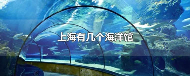 上海海洋水族馆门票是多少，可以玩多久？上海海洋水族馆停车怎么收费-图2