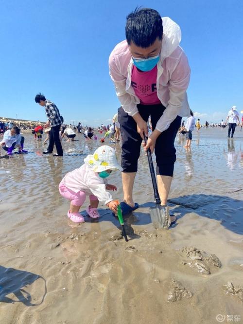 天津现在能赶海吗？天津赶海拾贝收费标准