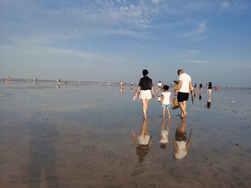 上海临港海滩开放了吗?天津临港海边收费么-图2 上海临港海滩开放了吗?天津临港海边收费么-图2