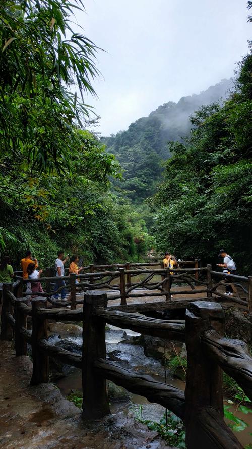 邛崃南宝山景区门票多少?邛崃南宝山景区收费吗-图3 邛崃南宝山景区门票多少?邛崃南宝山景区收费吗-图3