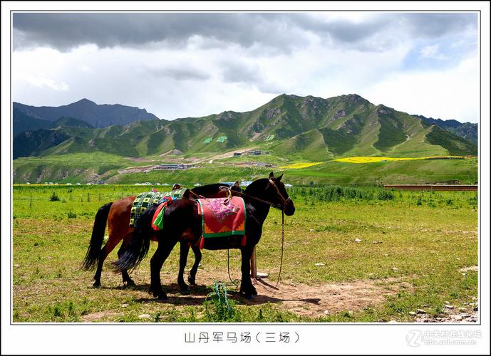 山丹军马场几点关门？山丹军马一场收费吗