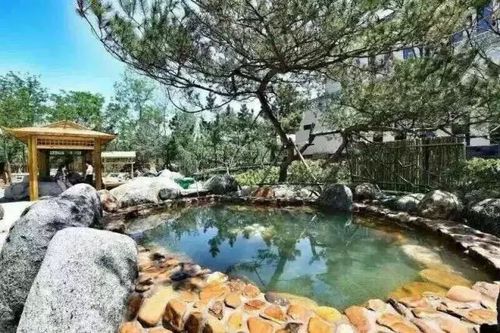 瓦房店明湖温泉门票多少?瓦房店将军石温泉收费-图3 瓦房店明湖温泉门票多少?瓦房店将军石温泉收费-图3