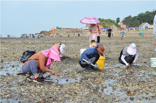 威海28号可以赶海么？威海经区赶海收费吗