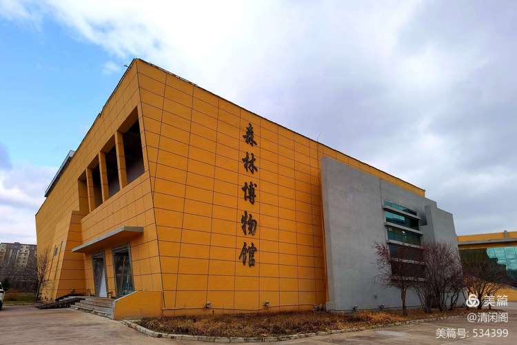 伊春森林博物馆门票？伊春森林博物馆收费吗