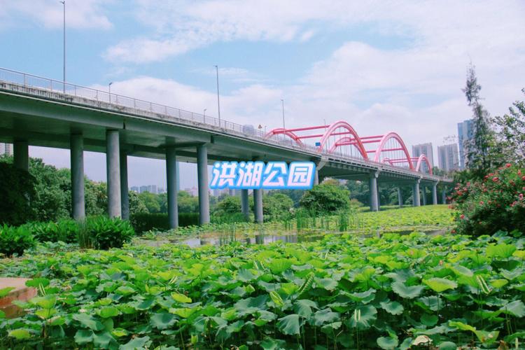 洪湖公园哪里停车方便?洪湖公园停车场收费-图3 洪湖公园哪里停车方便?洪湖公园停车场收费-图3