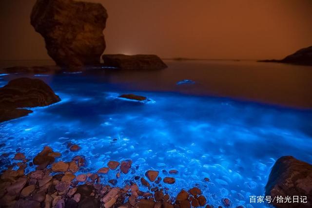 花鸟岛7月有荧光海吗?花鸟岛沙滩收费-图3 花鸟岛7月有荧光海吗?花鸟岛沙滩收费-图3