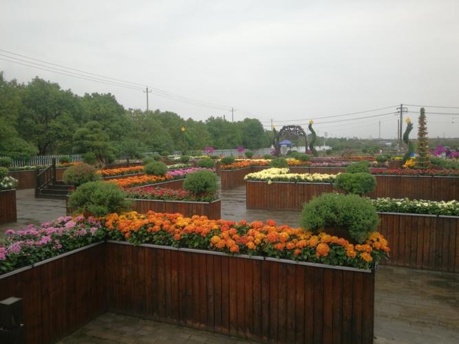 湖熟菊花展停车场哪个方便?农展馆停车收费吗-图3 湖熟菊花展停车场哪个方便?农展馆停车收费吗-图3