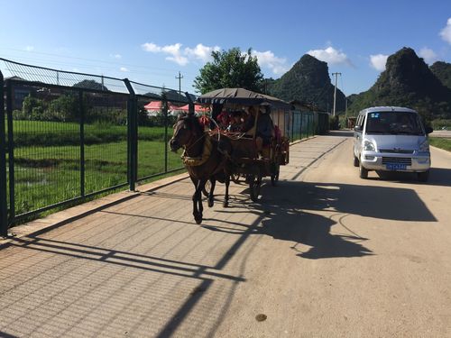 带老人去云南旅游可以吗?普者黑小马车怎么收费-图2 带老人去云南旅游可以吗?普者黑小马车怎么收费-图2