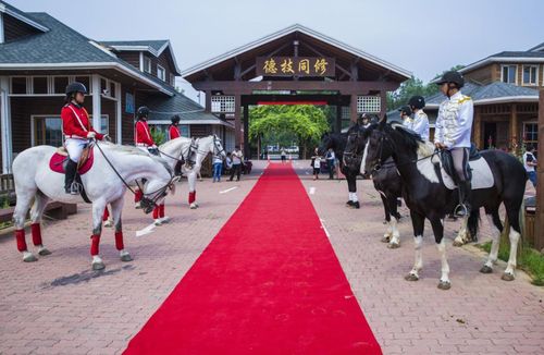 2023年8月7日北戴河景区开放吗？秦皇岛英伦马术收费-图3