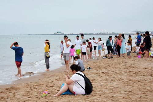去北戴河进沙滩要门票吗？去沙滩为什么要收费