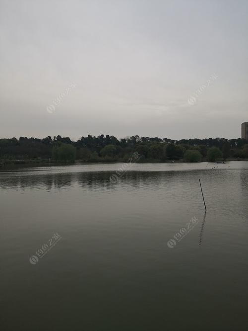 武汉严西湖可以钓鱼吗?武汉严西湖收费吗-图2 武汉严西湖可以钓鱼吗?武汉严西湖收费吗-图2