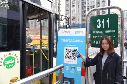 公交车刷码半小时之内会免费?羊城通换乘收费-图3 公交车刷码半小时之内会免费?羊城通换乘收费-图3