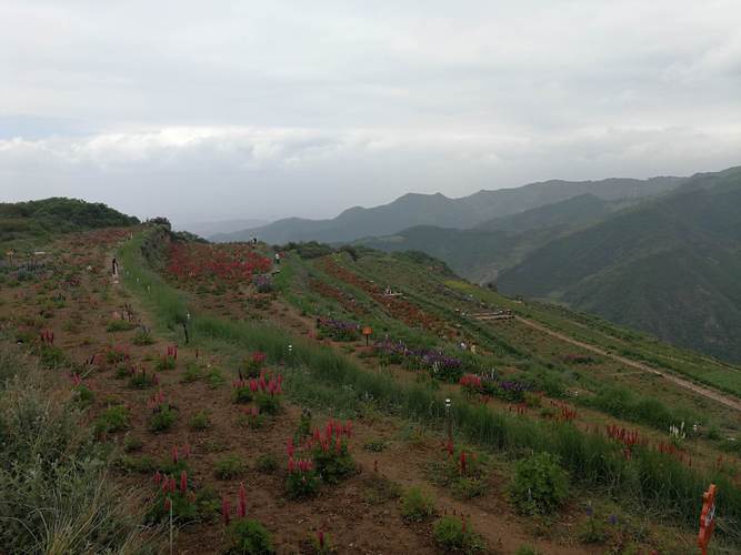 兰州云顶山景区门票?云顶山收费不-图2 兰州云顶山景区门票?云顶山收费不-图2