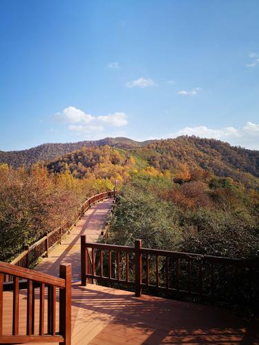兰州云顶山景区门票?云顶山收费不-图3 兰州云顶山景区门票?云顶山收费不-图3