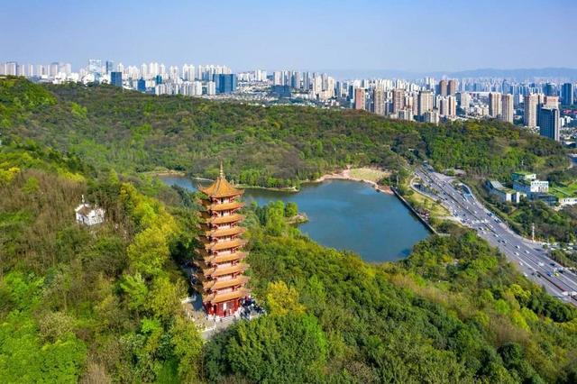 照母山森林公园可以带狗吗?照母山森林公园收费吗-图2 照母山森林公园可以带狗吗?照母山森林公园收费吗-图2