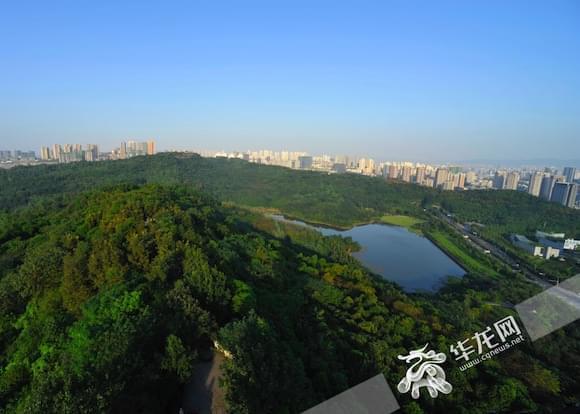 照母山森林公园可以带狗吗?照母山森林公园收费吗-图3 照母山森林公园可以带狗吗?照母山森林公园收费吗-图3