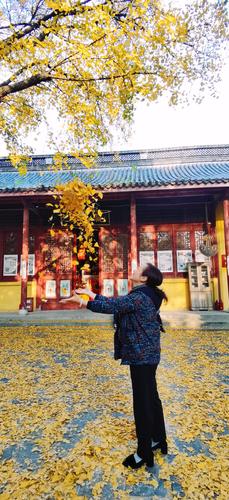 镇江南山高崇寺怎么上去?镇江南山停车场收费么-图3 镇江南山高崇寺怎么上去?镇江南山停车场收费么-图3