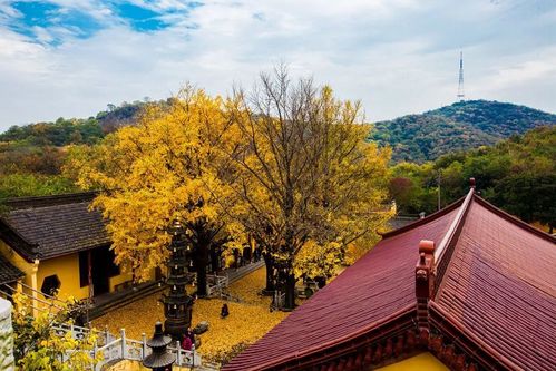镇江南山高崇寺怎么上去?镇江南山停车场收费么-图2 镇江南山高崇寺怎么上去?镇江南山停车场收费么-图2