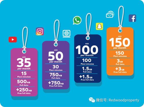 迪拜国际漫游资费标准?30天国际漫游功能收费-图3 迪拜国际漫游资费标准?30天国际漫游功能收费-图3