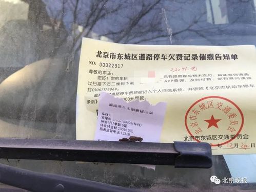 北京道路停车费罚款如何缴纳?北京路边收费停车费-图2 北京道路停车费罚款如何缴纳?北京路边收费停车费-图2