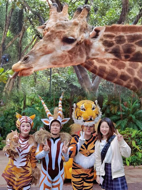 长隆野生动物世界都几点有表演？长隆动物演出收费吗-图2